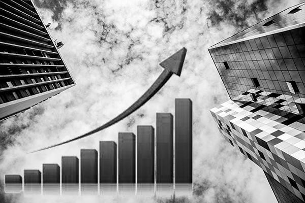 Maximize Your Profits 
